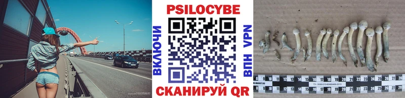 купить наркотик  ссылка на мегу как войти  Псилоцибиновые грибы мицелий  Дюртюли 